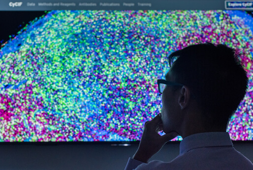 Cyclic Immunofluorescence (CyCIF)