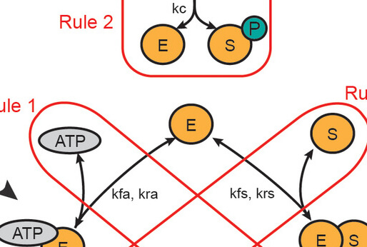 Machine-Assisted Modeling and Analysis